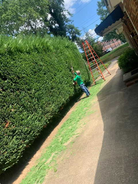 Sod Installation
