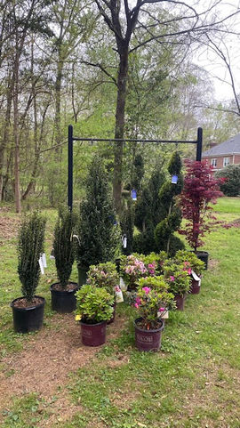 Lawn Care